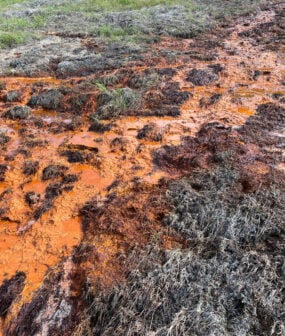 Orange Rust River Up Close