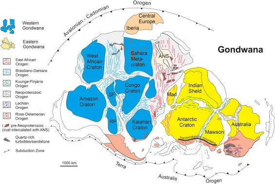 Reconstruction Gondswana Orogen Areas Figure