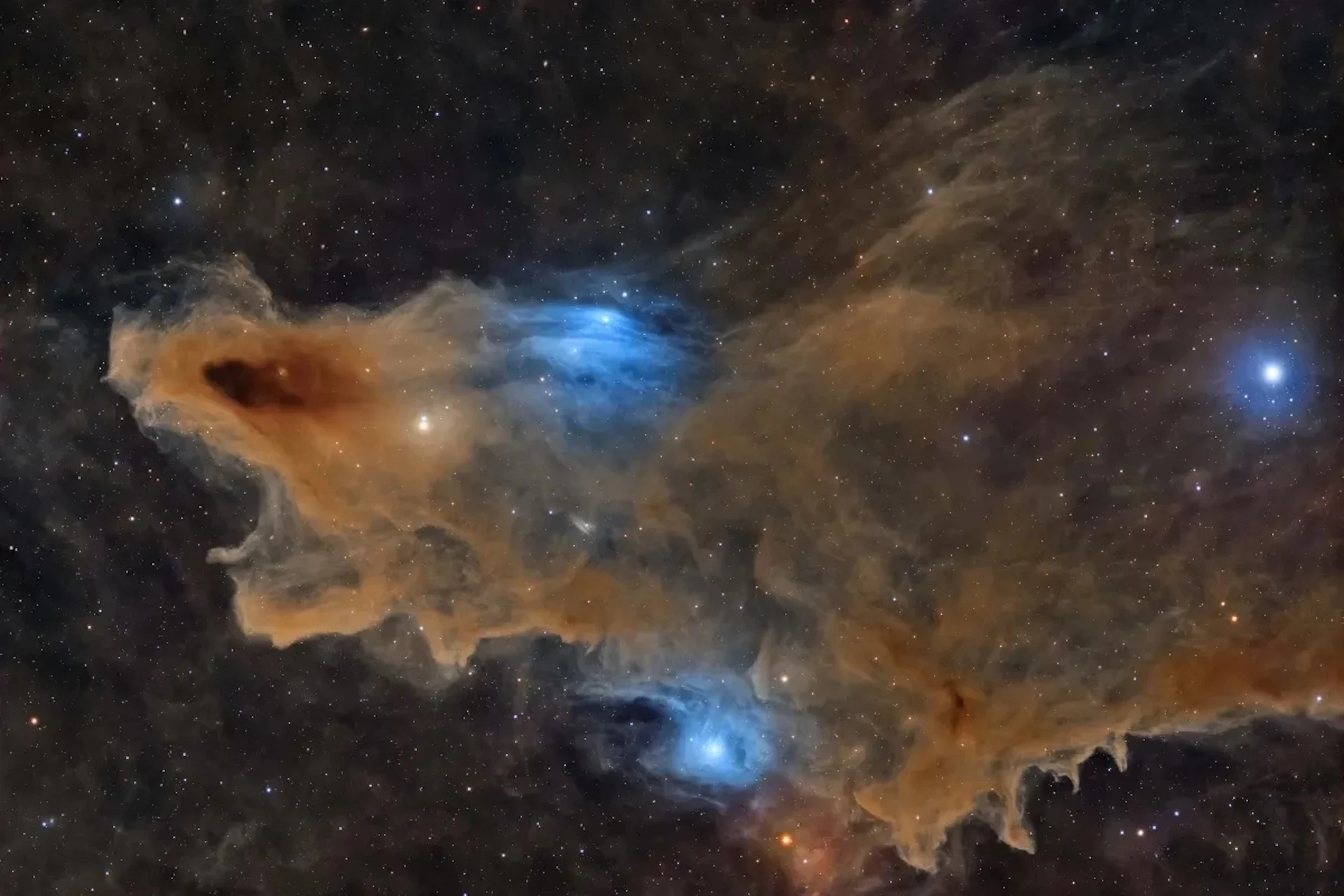 The Quiet Predator © Ali Alobaidly ZWO Astronomy Photographer Of The Year 2026 Stars And Nebulae.jpg (1)