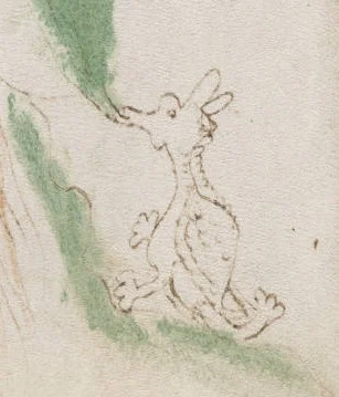 Voynich Dragon