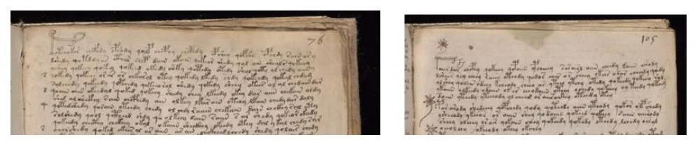 Voynich Enlarged Glyphs Davis Et Al